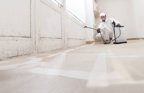 24/7 Emergency Basement Mold Removal experts in Bloomfield, NJ